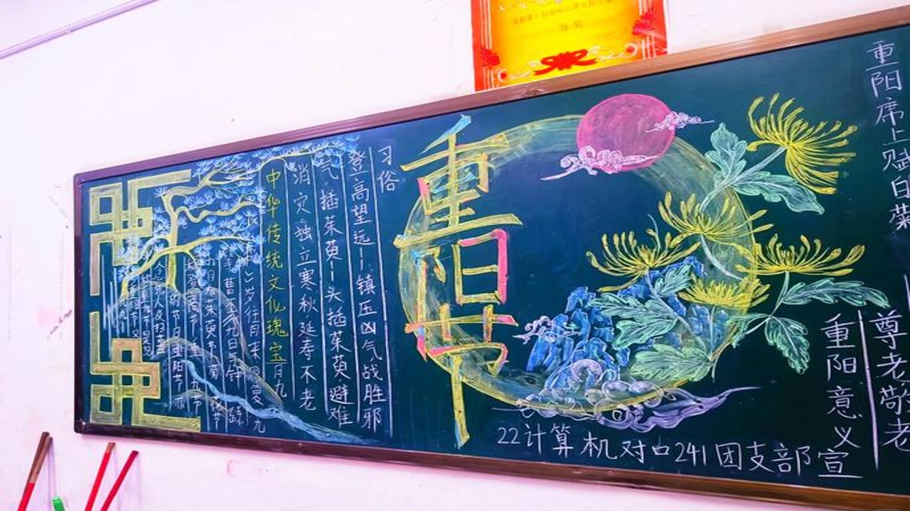 喵趣生活好物推荐及猫咪趣味日常分享全景图