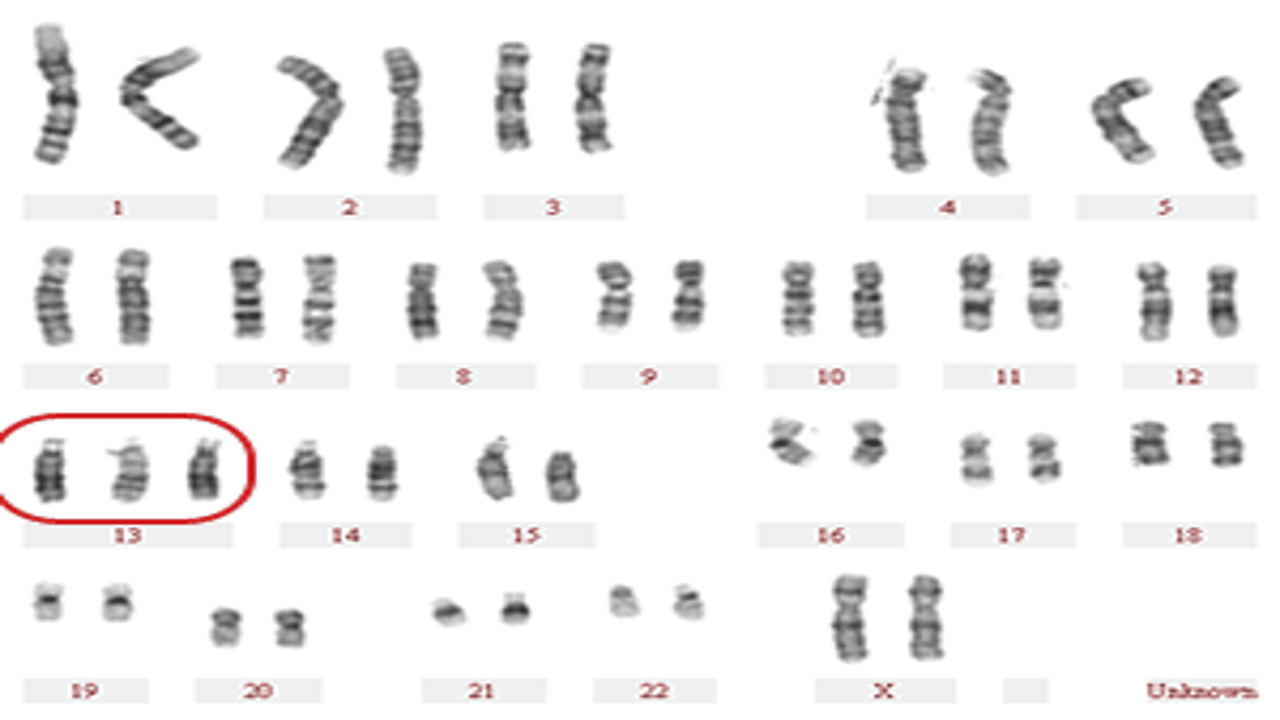 2024最新云副业赚钱攻略新手零基础居家远程接单