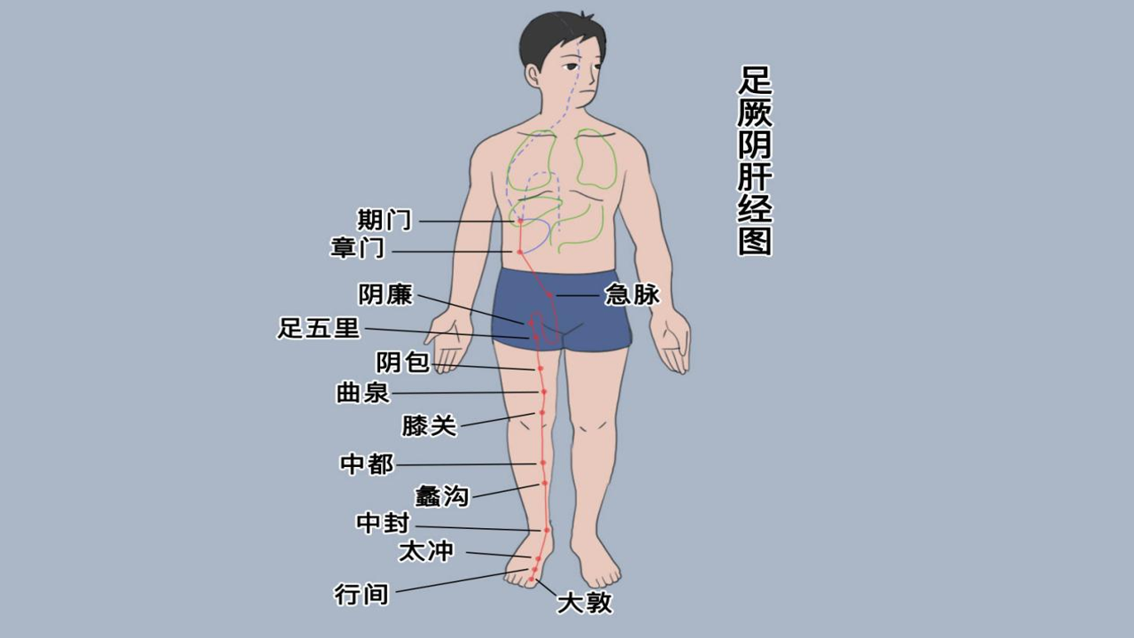 哈嘀出行 靠谱吗 官方电话 收费标准 详解