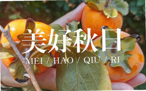 收获的季节运行截图