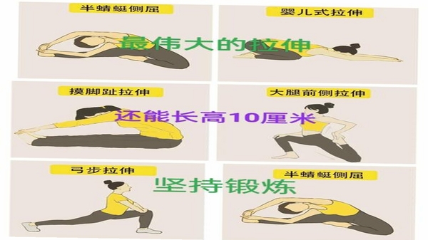 �����˶����춯��ͼ��