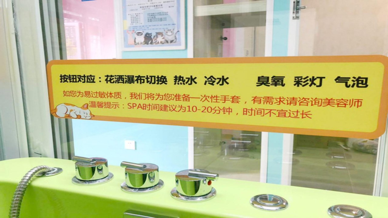 快乐宠物水疗中心24小时上门洗澡美容服务场景展示