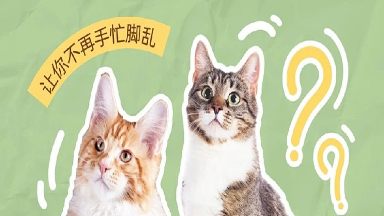 新手养宠看着养避坑指南图解