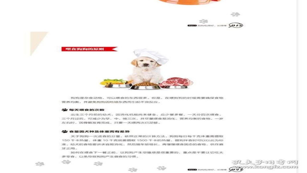 宠物饮食观察与看着养方法
