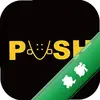 PUSHͼ��