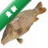 �������Pro(Carp Fishing Pro)ͼ��