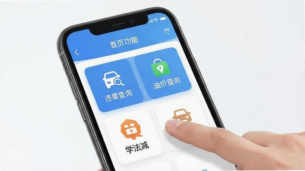 交通违章处理运行截图
