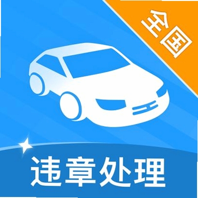 交通违章处理运行截图