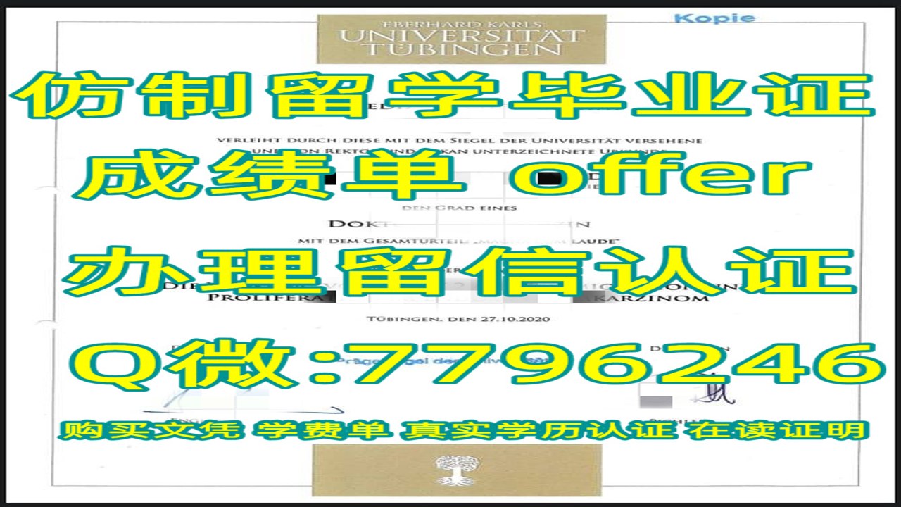 喵趣 猫砂盆除臭 剑麻猫抓柱 猫咪清洁用品 舒适环境布置