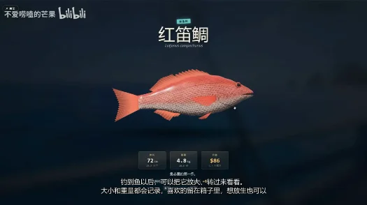 潮汐岛钓鱼手机版运行截图