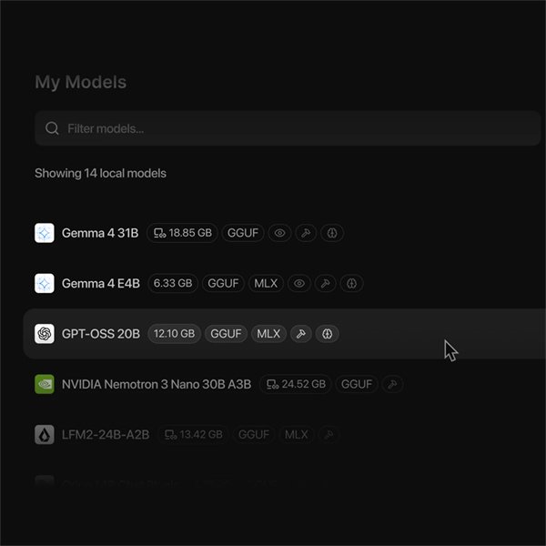 LM Studio Bionic电脑版运行截图