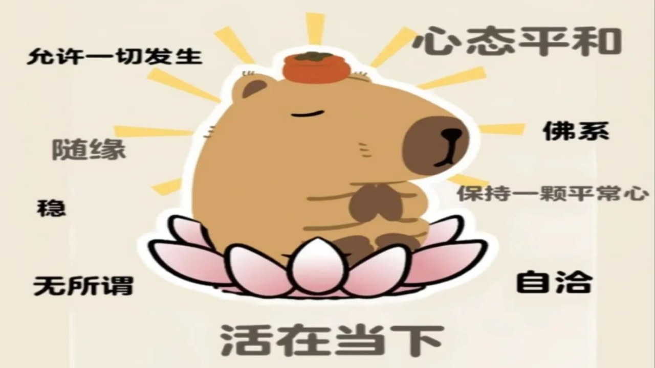 卡皮巴拉不想卷 治愈系 松弛感 水豚 情绪出口
