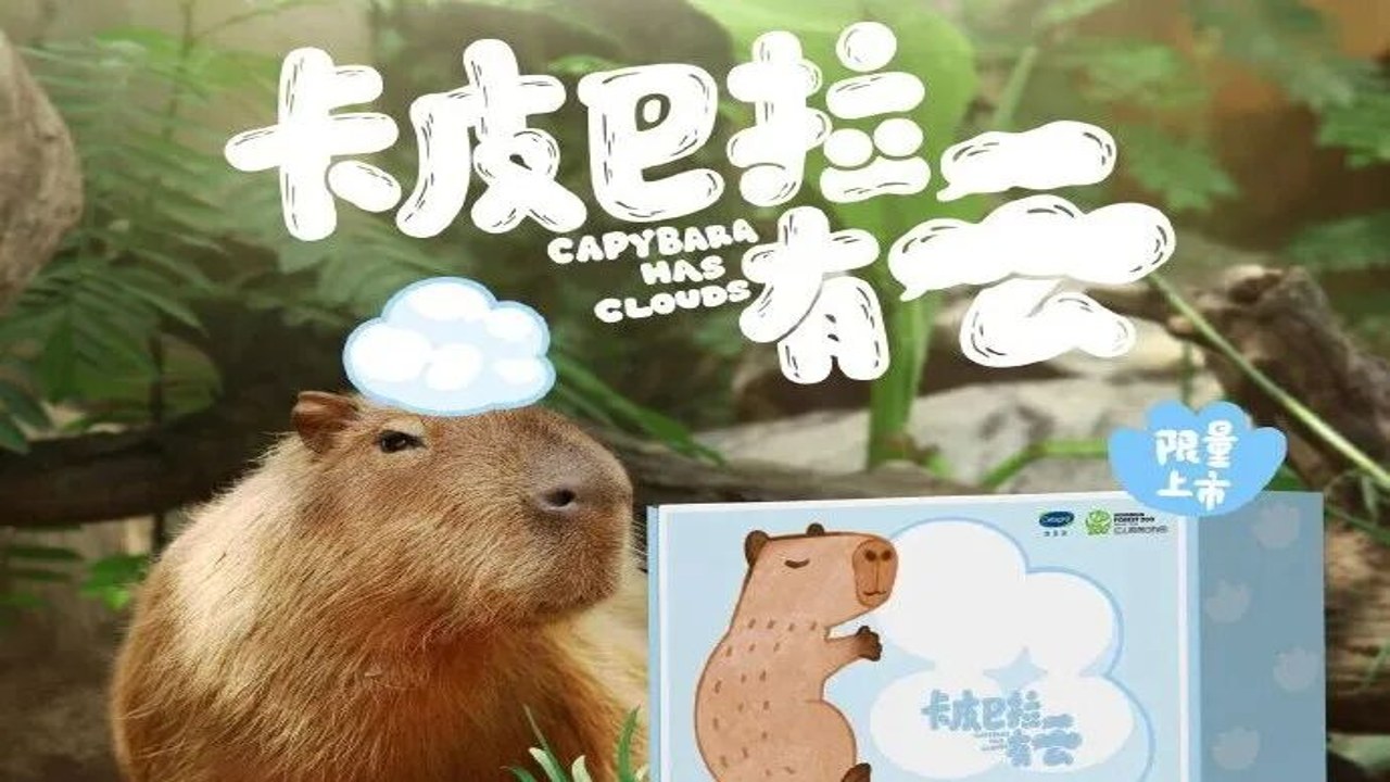 卡皮巴拉不想卷 生活仪式感 慢生活 情绪价值