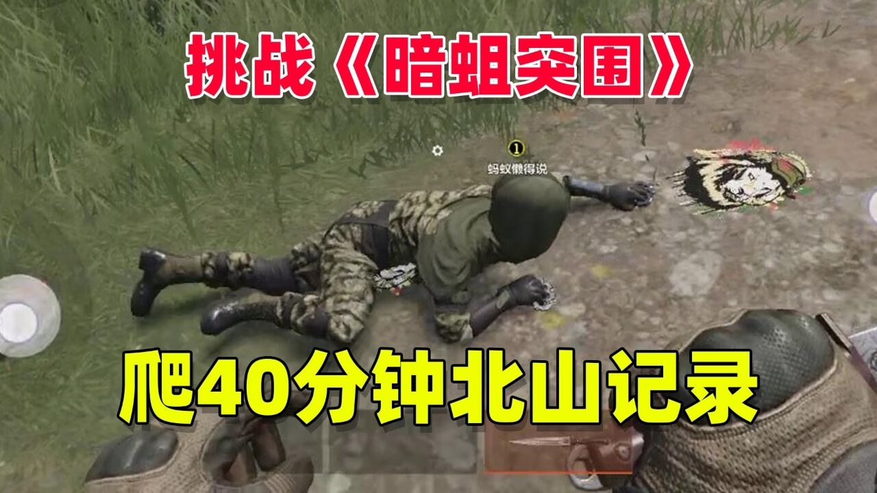 ETO暗蛆突围 黑暗森林威慑下的生存博弈全景图