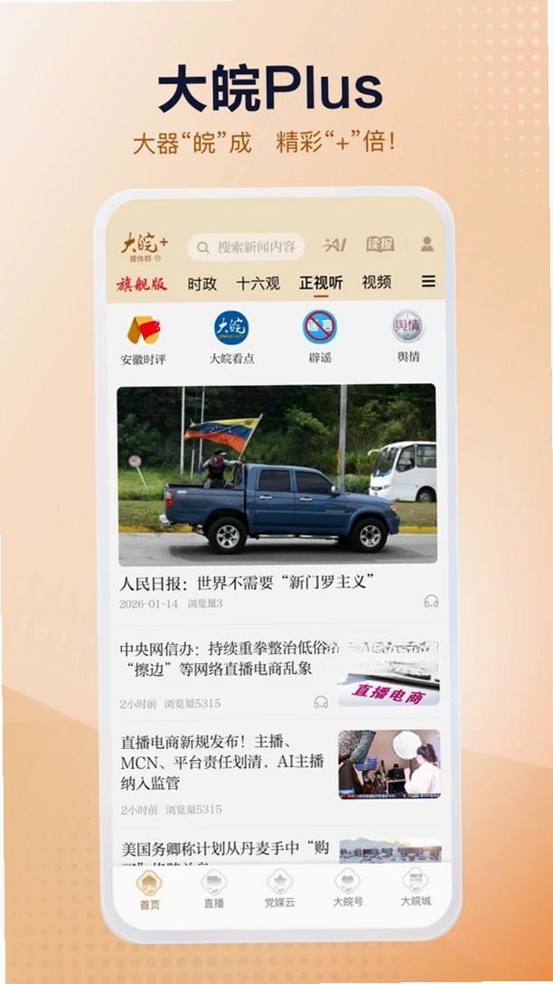 大皖Plus运行截图
