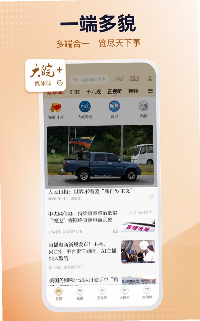 大皖Plus运行截图