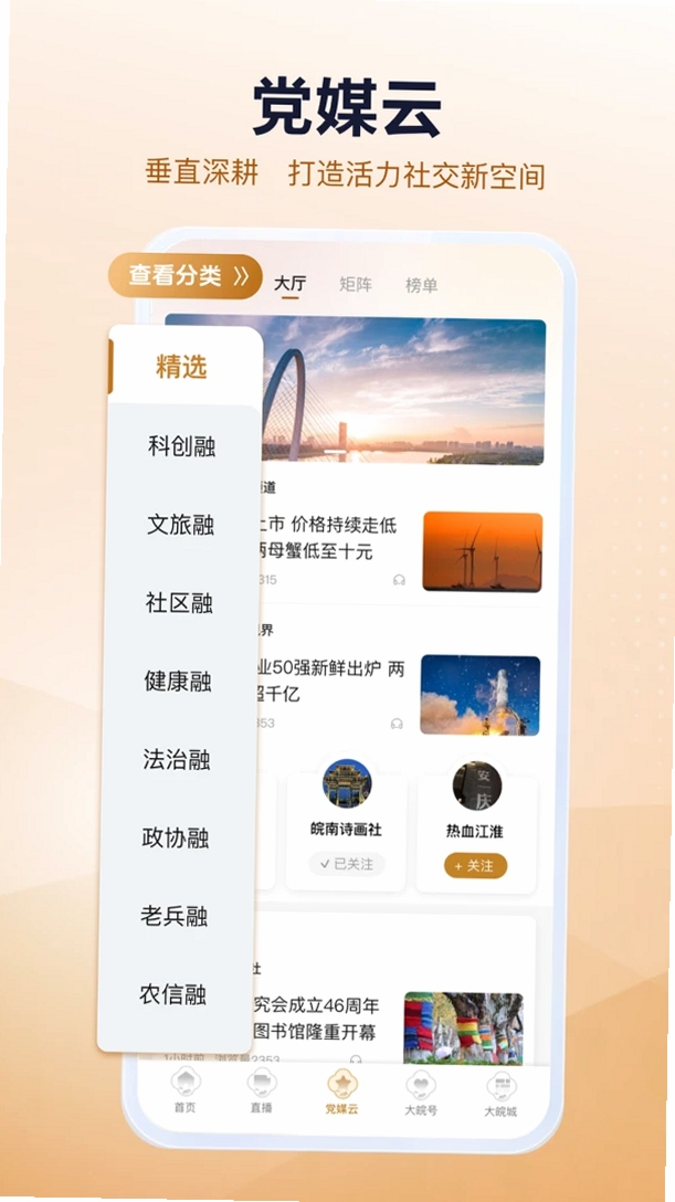 大皖Plus运行截图