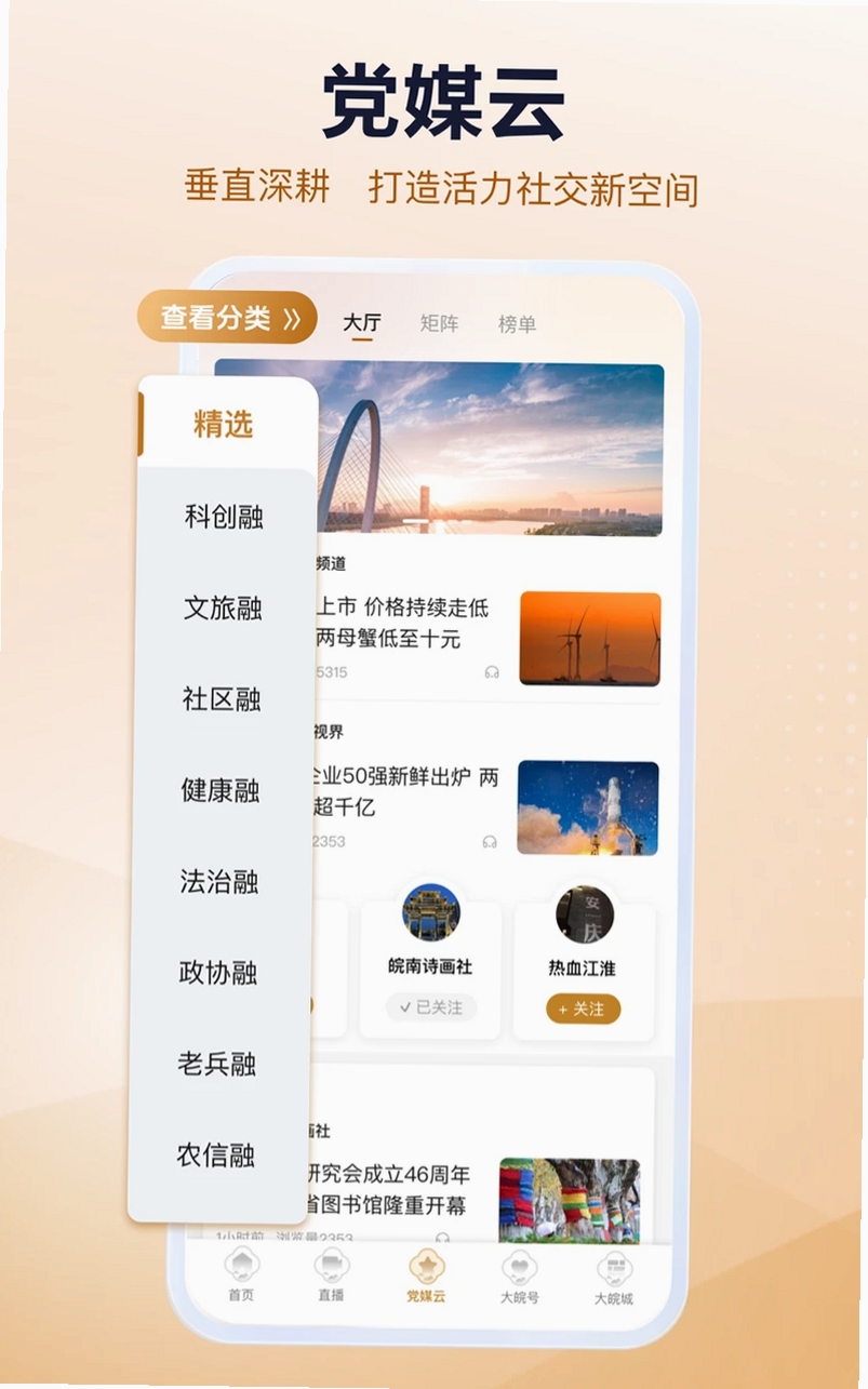 大皖Plus运行截图