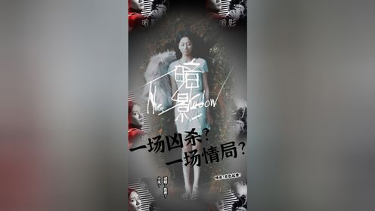 ��Ӱս����(Ninja Shadow Fighter) ��װ���̼�Ȩ�����ý���