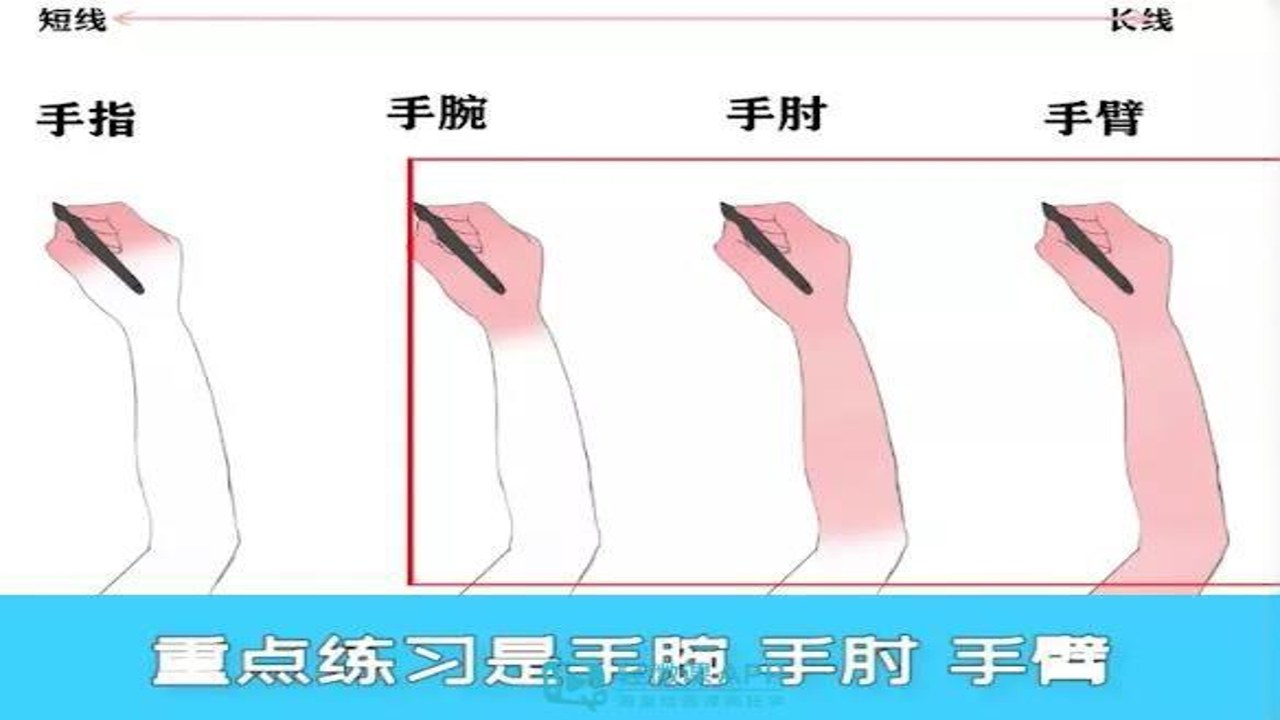 画板painting 新手入门技巧 握笔姿势 整体布局