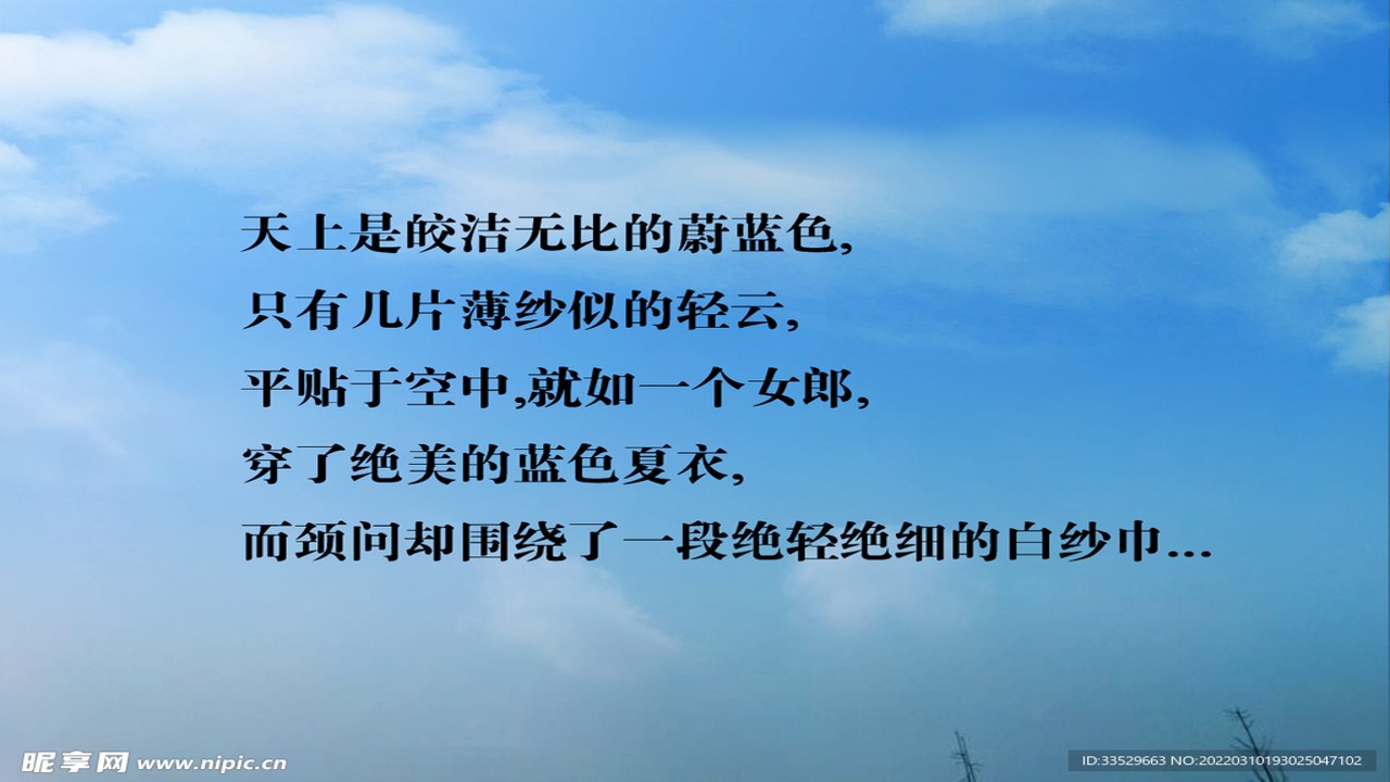 小鸟启程励志短句 天空背景配图