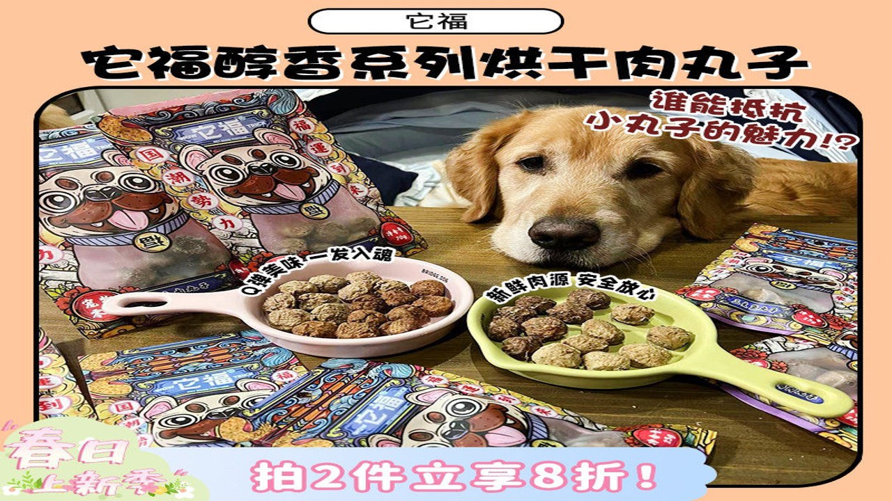 旺财叠词狗狗名字 旺旺 旺财肉包 宠物互动