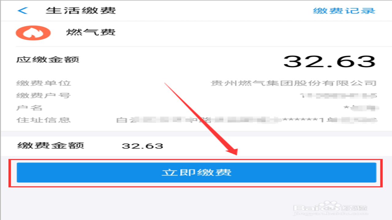 燃气缴费宝 手机在线支付 账单查询详情页面