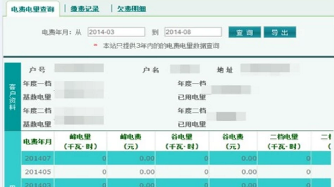 网上电费记录查询结果界面截图,显示月度账单明细与缴费历史列表