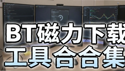 BT�������ع��ߺϼ��Ƽ����������ء�qBittorrent�����ſͻ���