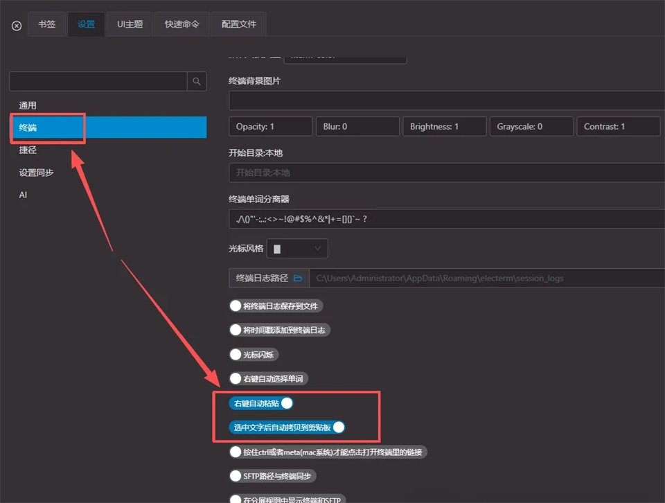 Electerm 5.6.10中文完整版运行截图
