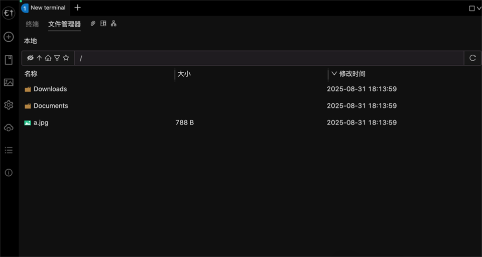 Electerm 5.6.10中文完整版运行截图