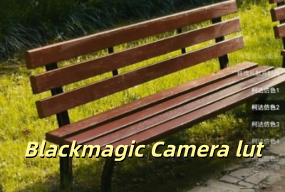 Blackmagic Camera lut�˾�������_blackmagic camera lut�Դ��˾���2026����_blackmagic camera lut��ɫ���������°汾