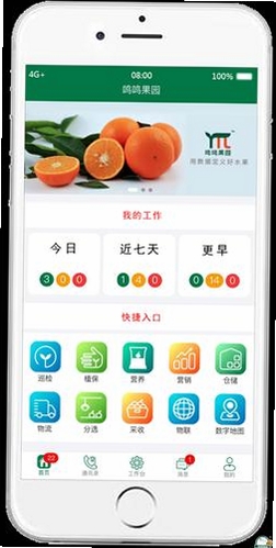 和鸣运行截图