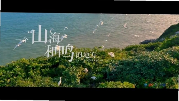 和鸣运行截图