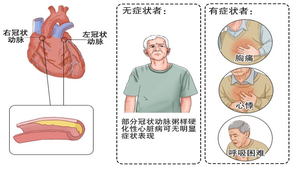 枫桑二次元 热门番剧推荐 高清壁纸汇总