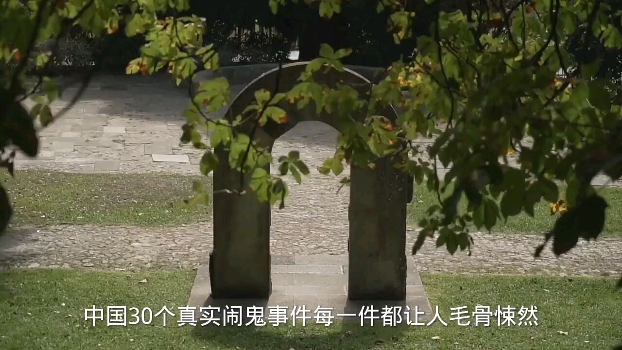 闹鬼爪子(双狗成行)PC版支持联机 游戏主界面与联机选项展示