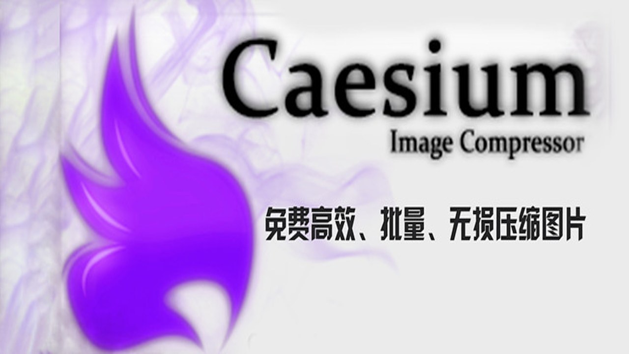 Caesium Image Compressor 2.8.5中文最新版 压缩前后效果对比图