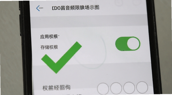 DOSS音频权限设置示意图,手机屏幕显示应用权限管理页面,存储权限开关处于开启状态,画面用醒目的绿色对勾标注允许操作,背景为浅灰色系统设置界面风格,突出安装权限避坑要点