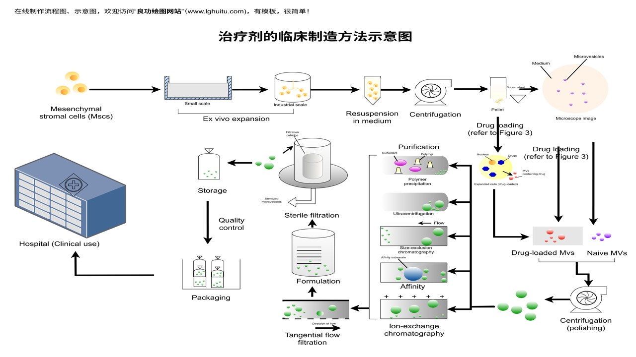 动讯软件自动化处理流程操作细节图解