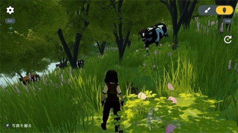 温馨国度steam版手机移植运行截图