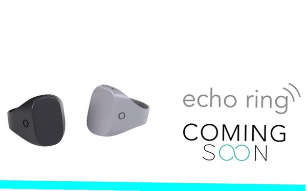 Echo Loop运行截图