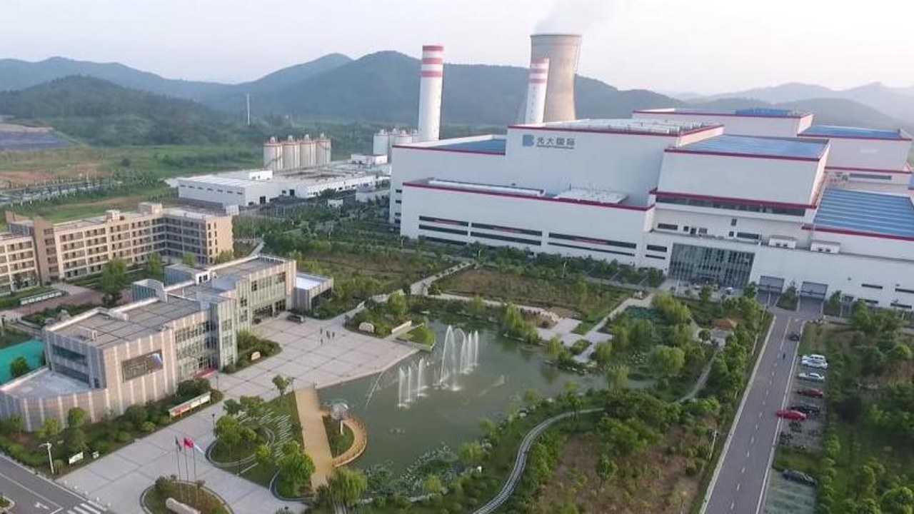 Office Cat办公室猫咪安卓版 游戏界面展示 办公猫咪场景