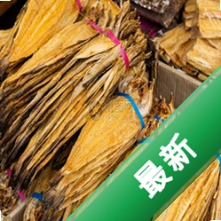 咸鱼小猪手v1.1.4 便捷生活助手