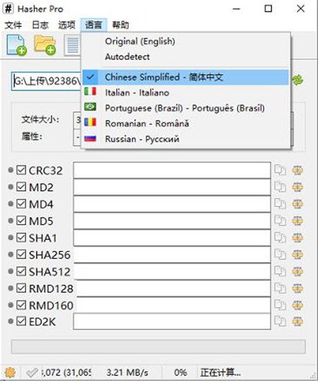 Hasher Pro 4.2中文完整版运行截图
