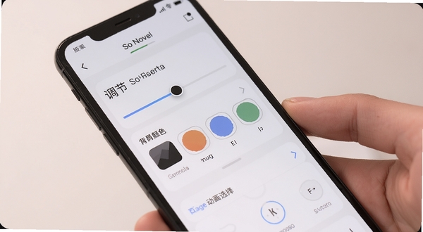 So Novel 移动端阅读设置界面,手机屏幕展示字体调节滑块、背景颜色选项与翻页动画选择面板,界面元素清晰有序,背景为柔和浅色,体现个性化阅读设置功能
