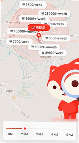 hooli运行截图