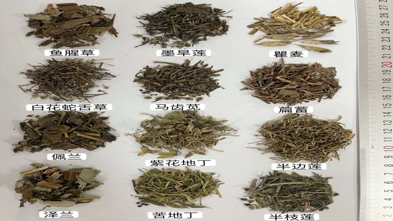 灵草优选鉴别技巧与优质药材实物对比图