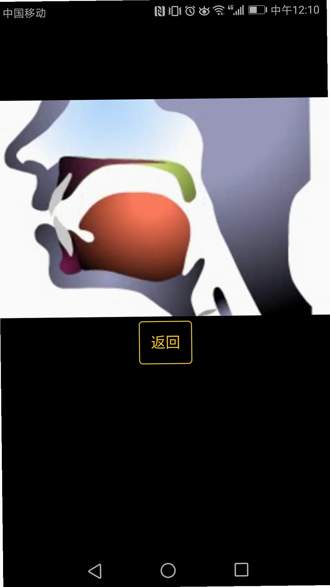 英语国际音标学习运行截图