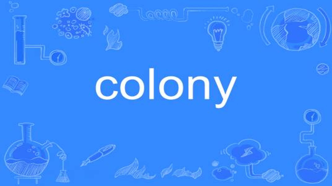 Colony Flow���޽�Ұ� ��׿�� ���ؽ��� չʾ��Դ����״̬