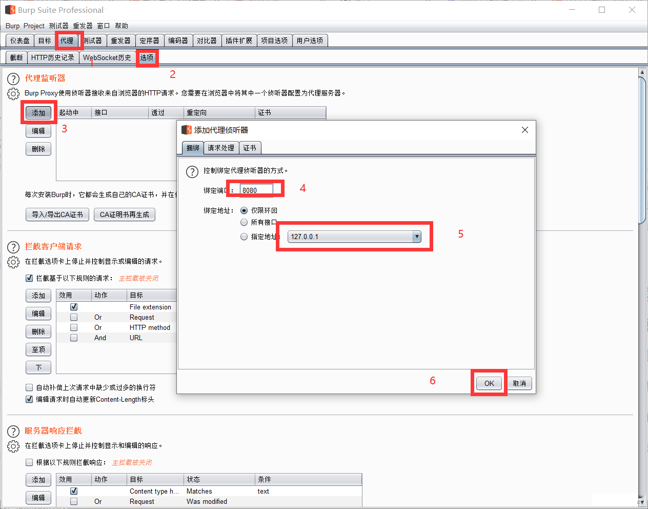 burp suite professional 2024中文完整版运行截图